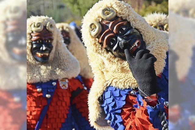 Buchenbacher Znfte sorgen fr eine bunte Fasnet