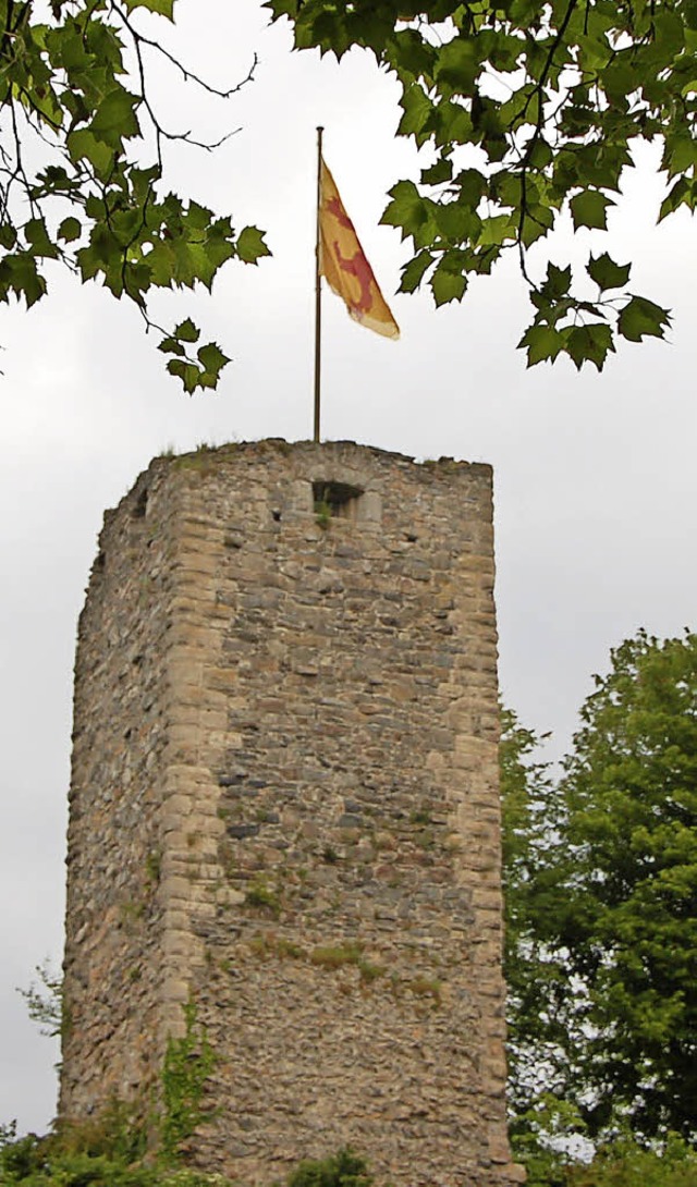 Burgen und Schlsser faszinieren &#821...beileibe nicht allein  in Laufenburg.   | Foto: Winfried Dietsche