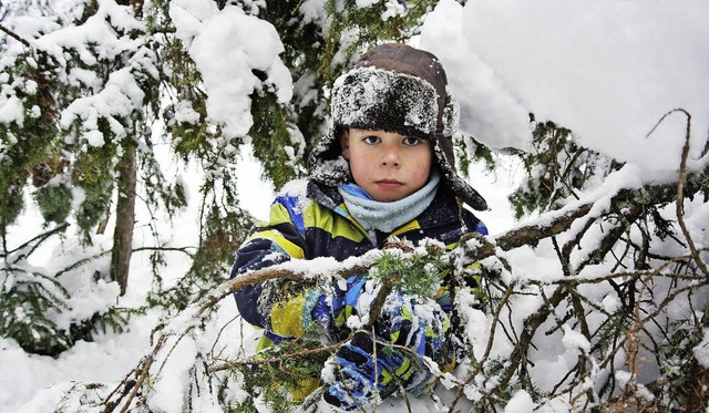 David befreit die Babybume von der Schneelast.   | Foto: Evamarie Kurfess