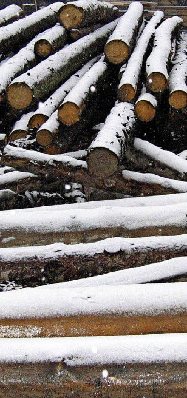 Die Holzpreise geben  nach, berichtete Revierleiter Philipp in Hg-Ehrsberg.   | Foto: Jacob
