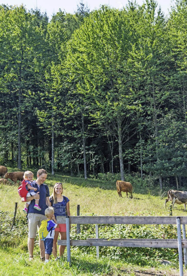 Angebote an Wanderzielen  und Naturerlebnisse ziehen Touristen nach Ettenheim.  | Foto: O. Michel