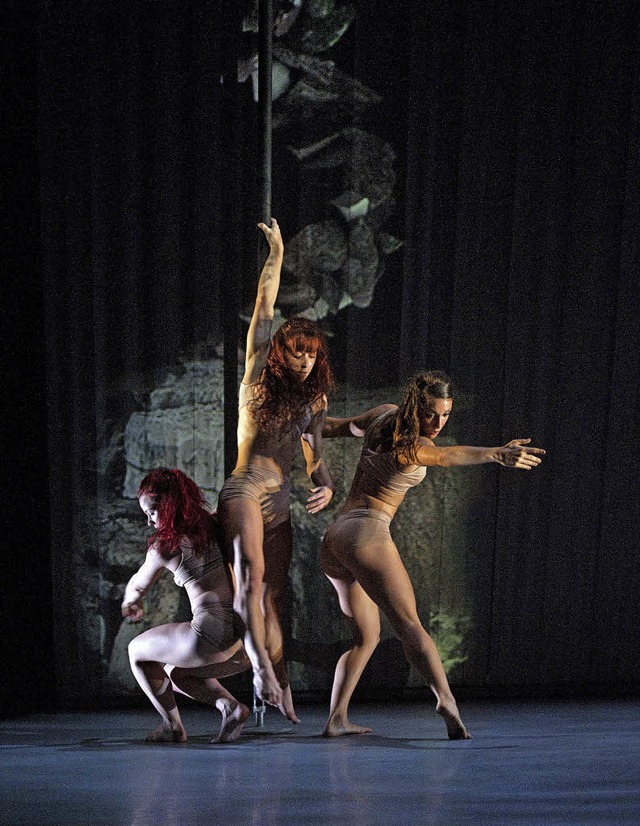 Tanz mit Projektionen, Elementen des Theaters und Akrobatik   | Foto: ZVG