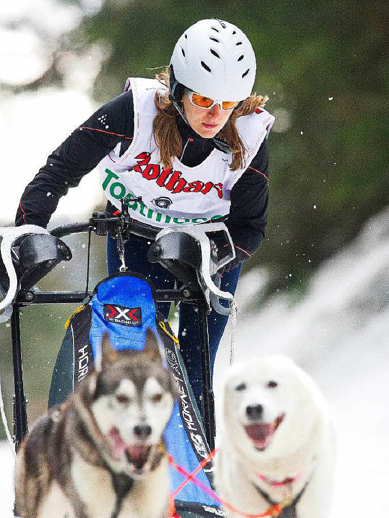 Impressionen vom Schlittenhunderennen in Todtmoos