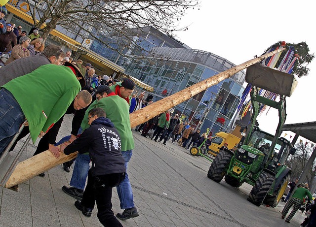 Volle Konzentration hie es fr die Helfer beim Narrenbaum-Aufstellen.   | Foto: Petra Wunderle