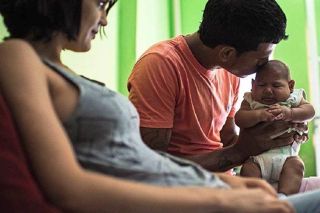 Zika-Virus bedroht vor allem ungeborene Kinder