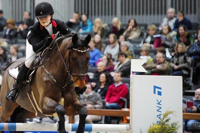 Reitsport mit drei Sternen