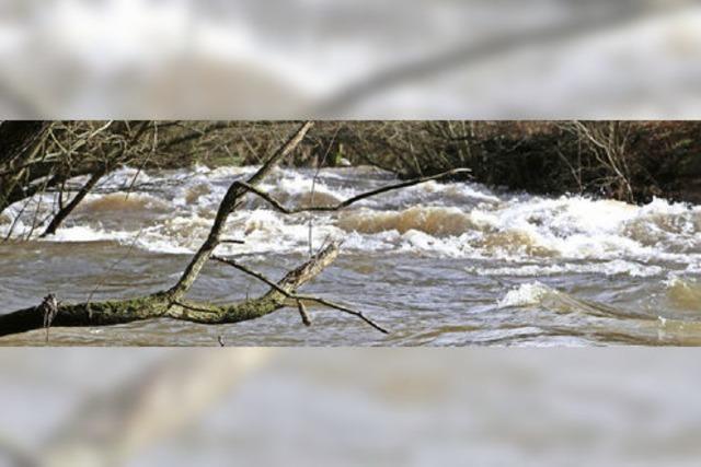 Schneeschmelze lsst Flsse anschwellen