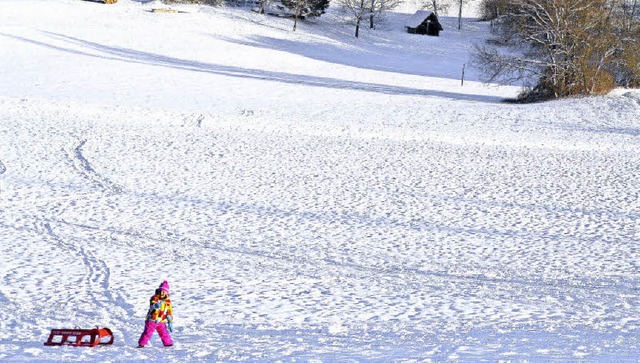 Der Eichener See im Winter, fotografiert Ende Januar   | Foto: Angelika Schmidt