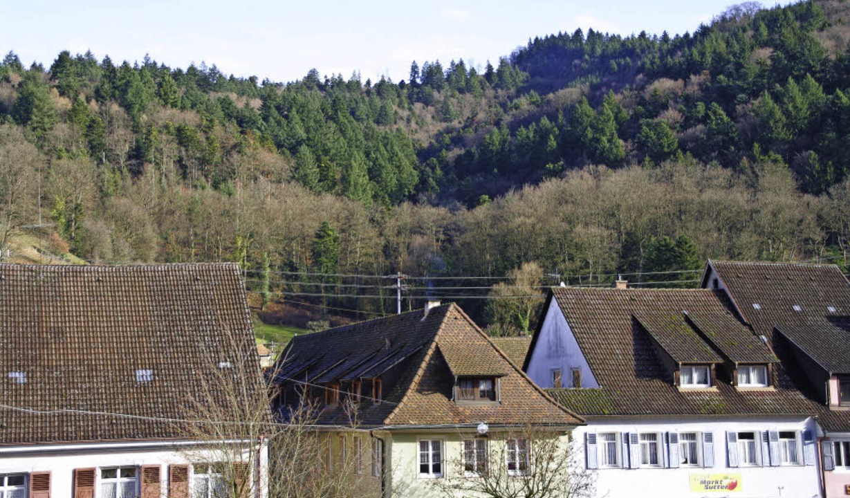 Sulzburg und der Wald &#8211; das ist ...iehung, die jetzt das kokonto fllt.   | Foto: Martin Pfefferle