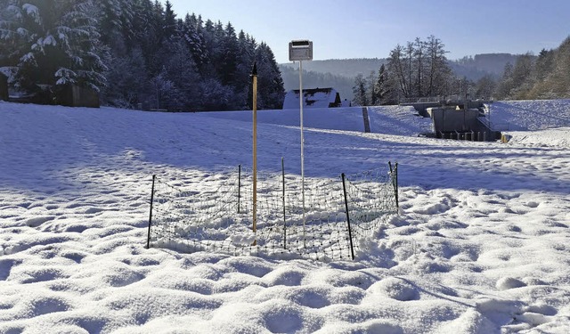 Die  Bilder zeigen  am 22. Januar dies...entimeter Schnee und das Infoschild.    | Foto: Stefan Ohnemus