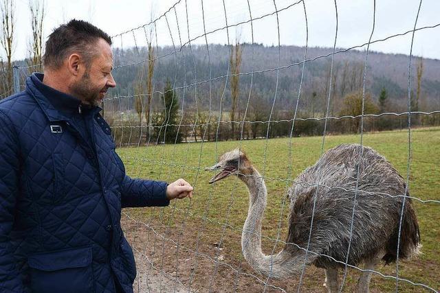 Strauenfarm Steppacher Hof