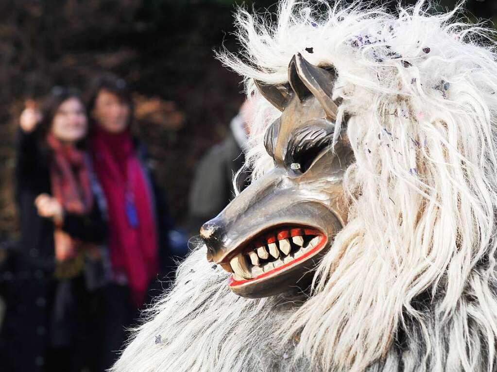 Sonnig-bunte Riesenparty: der Narrenumzug am Fasnetsamschdig in Bad Krozingen.