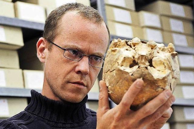 Archäologen graben Knochen aus dem Mittelalter aus