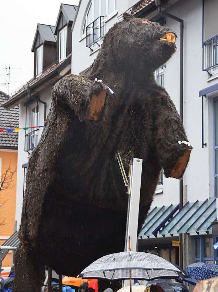 Impressionen vom Wehrer Umzug