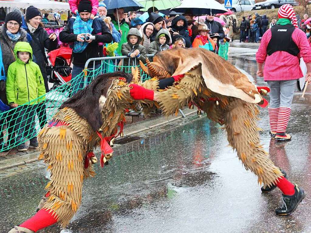 Wild trieben es die Narren beim Umzug in Titisee. Sehr zur Freude des Publikums.