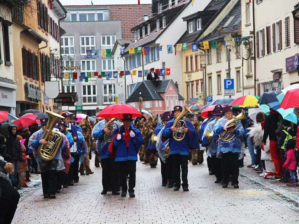 Bilder vom Schopfheimer Umzug