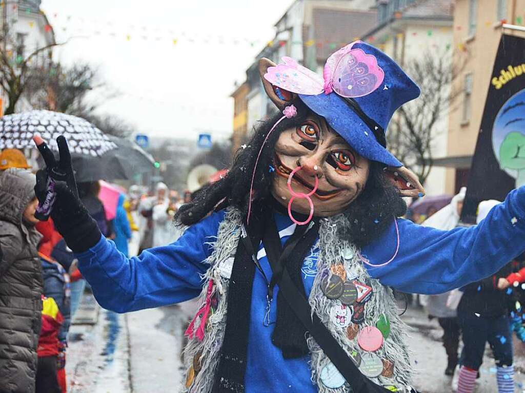 Impressionen vom Rheinfelder Fasnachtsumzug