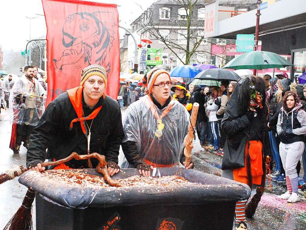 Impressionen vom Rheinfelder Fasnachtsumzug