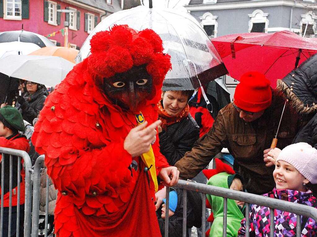 Impressionen vom Rheinfelder Fasnachtsumzug