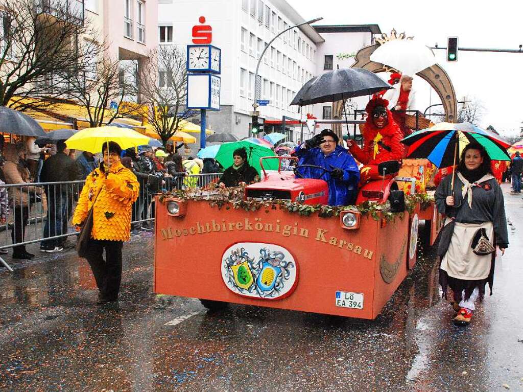 Impressionen vom Rheinfelder Fasnachtsumzug