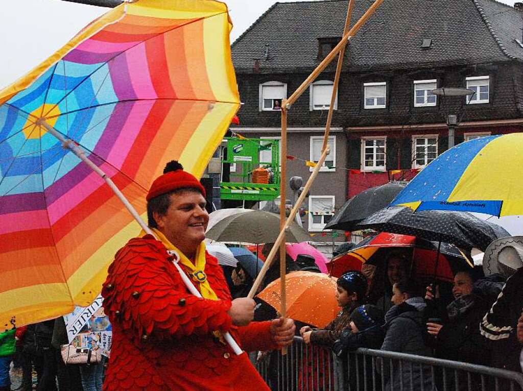 Impressionen vom Rheinfelder Fasnachtsumzug