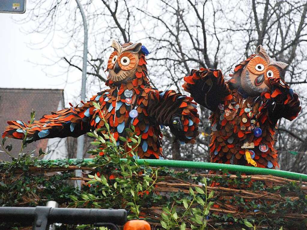 Impressionen vom Rheinfelder Fasnachtsumzug