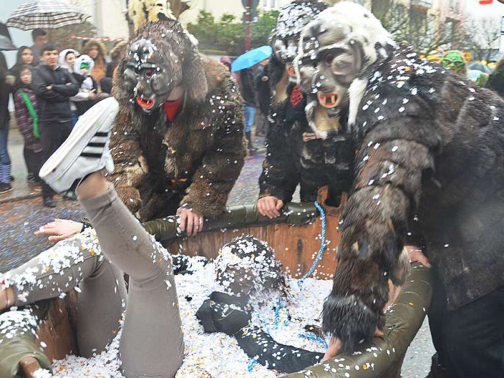 Impressionen vom Rheinfelder Fasnachtsumzug