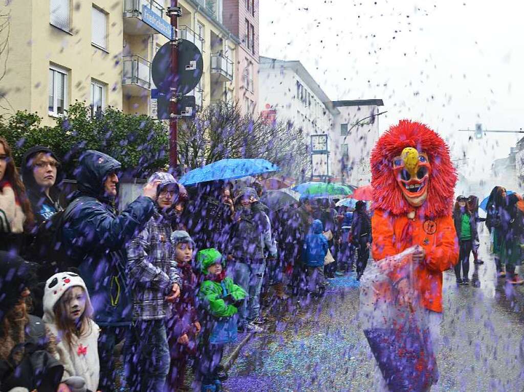 Impressionen vom Rheinfelder Fasnachtsumzug