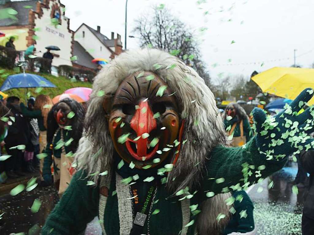 Impressionen vom Rheinfelder Fasnachtsumzug