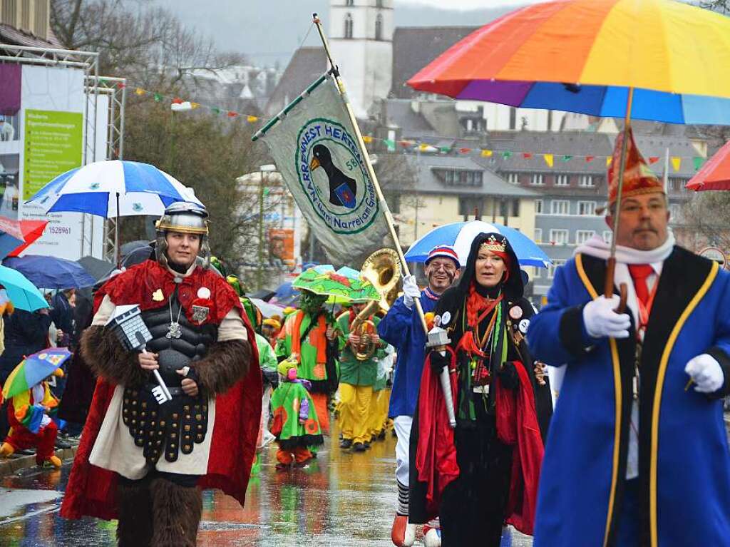 Impressionen vom Rheinfelder Fasnachtsumzug