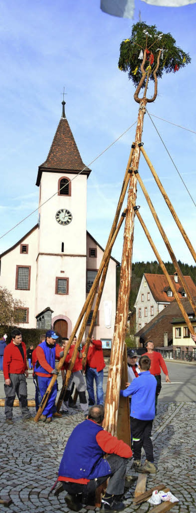 Alles senkrecht in Hasel. Das weithin ...snacht wurde am Samstag aufgerichtet.   | Foto: Edi Steinfelder