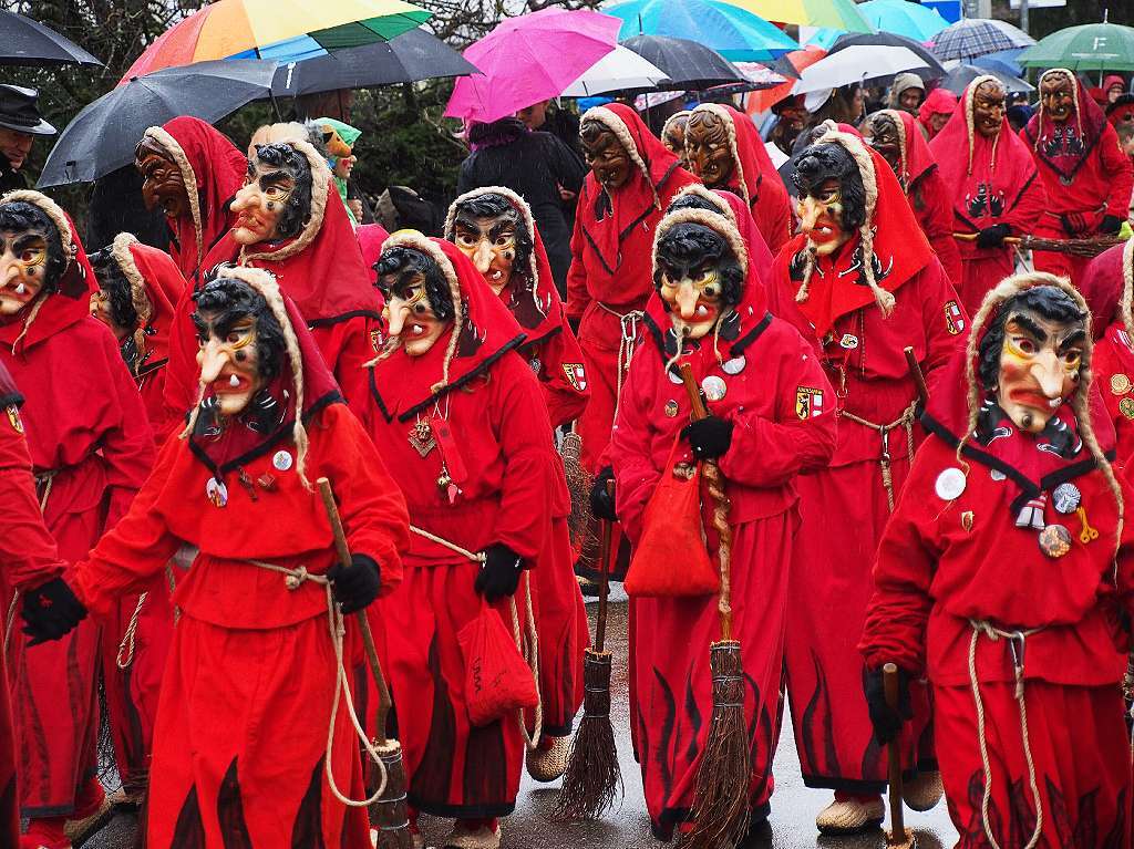 Eine kunterbunte Narrenparade bewegte sich durch Kirchzarten. Der Regen konnte den Fasnchtlern nichts anhaben.