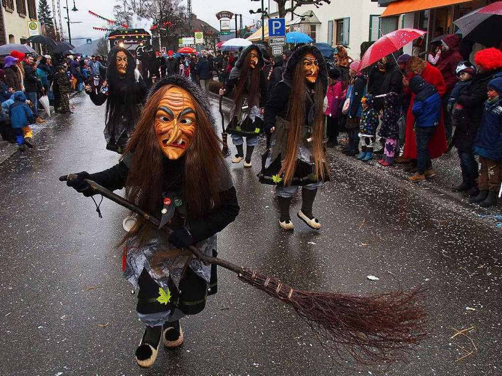 Eine kunterbunte Narrenparade bewegte sich durch Kirchzarten. Der Regen konnte den Fasnchtlern nichts anhaben.