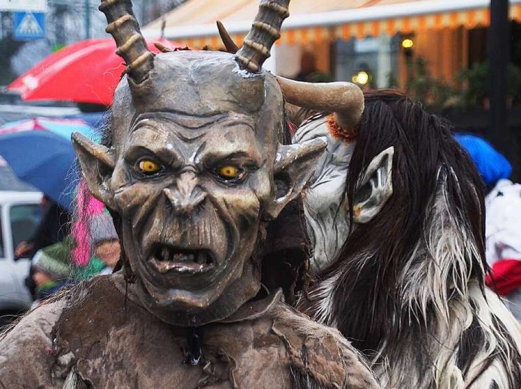 Eine kunterbunte Narrenparade bewegte sich durch Kirchzarten. Der Regen konnte den Fasnchtlern nichts anhaben.