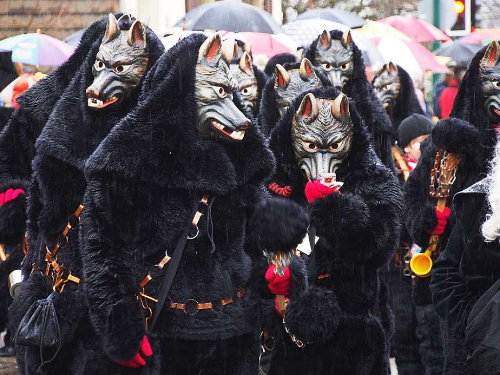 Eine kunterbunte Narrenparade bewegte sich durch Kirchzarten. Der Regen konnte den Fasnchtlern nichts anhaben.