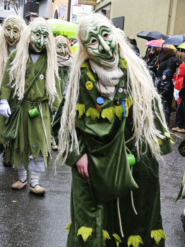 Narren und Zuschauer trotzten gutgelaunt den Wetterkapriolen.