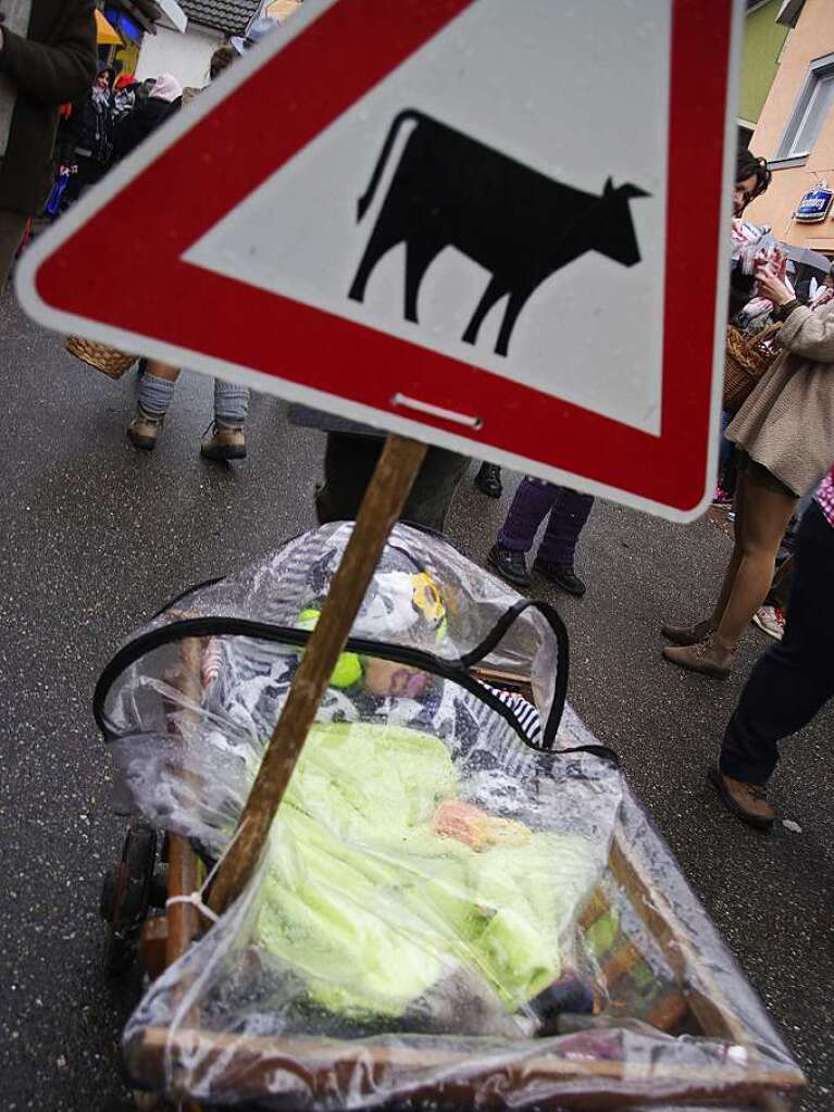 Narren und Zuschauer trotzten gutgelaunt den Wetterkapriolen.