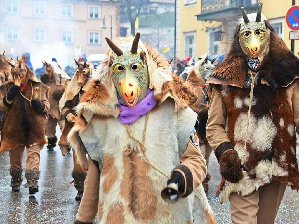 Eindrcke vom Umzug der Narrenzunft Neustadt am Fasnetmendig.