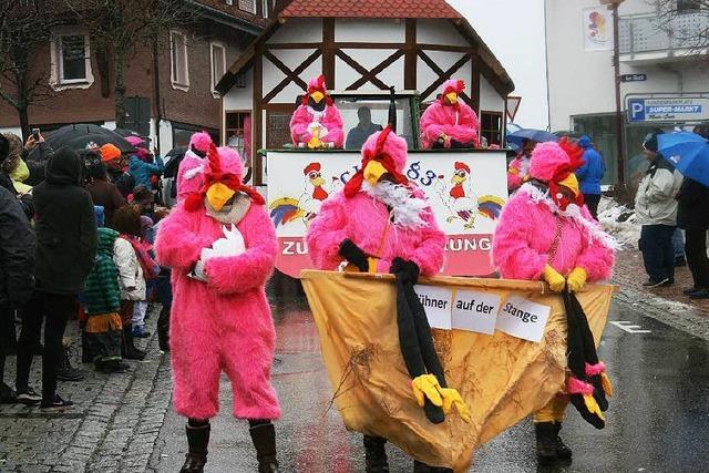 Fotos vom Narrenumzug in Schluchsee