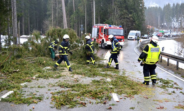 Montagnachmittag ging es schon los mit...vor Brental einen umgestrzten Baum.   | Foto: Kamera24 (5) / Heinz Roller (1)