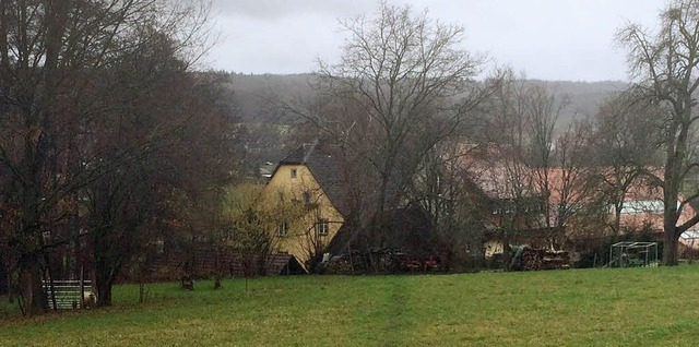 Eine Weidehtte darf im Auenbereich h... Mhlengebude nicht gebaut werden .    | Foto: Schtz