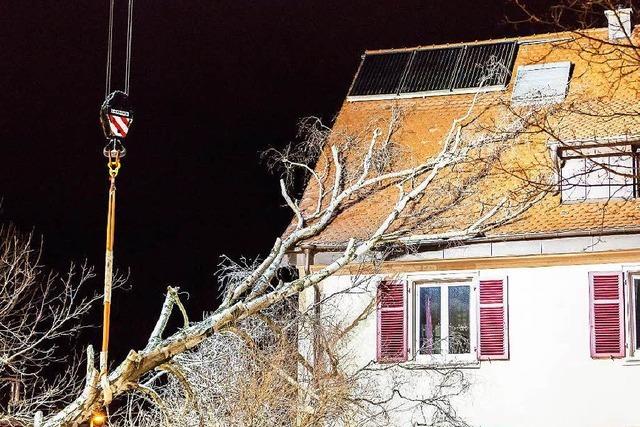 Fotos: Baum kracht auf Wohnhaus – Unwetter in Freiburg