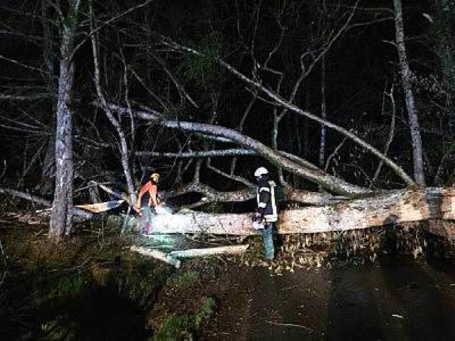 Im Dettenbachtal musste ein Baum von der Strae entfernt werden.  | Foto: Feuerwehr Waldkirch