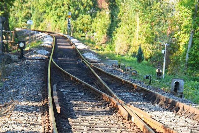 Sensoren sichern den eingleisigen Zugverkehr