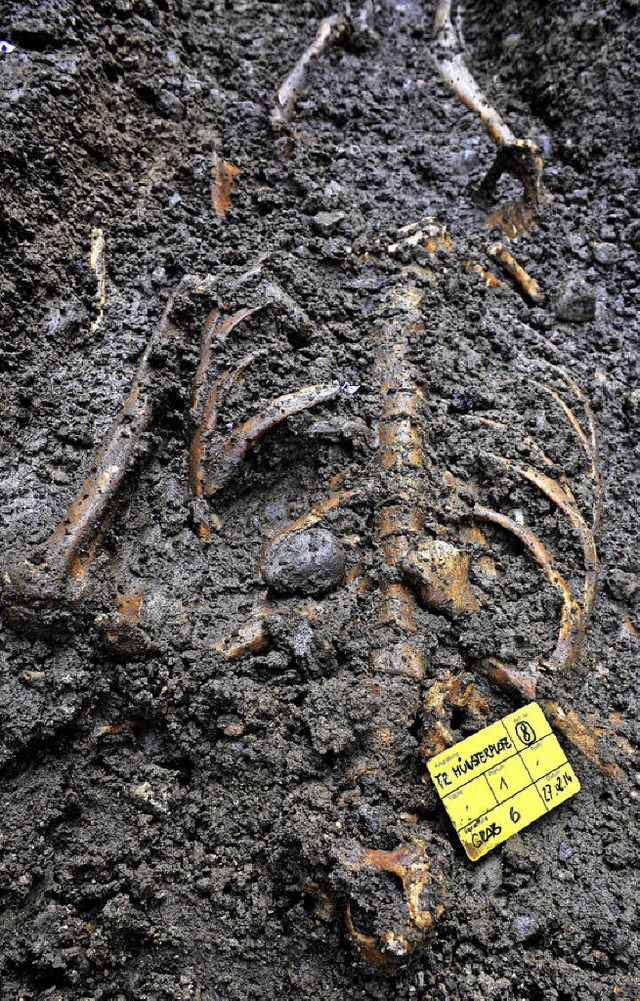 Die Skelette und Knochen, die bei Baua...sprach Mnsterpfarrer Wolfgang Gaber.   | Foto: Thomas Kunz