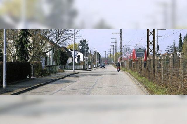 Grne fordern Sanierung der Knigswaldstrae