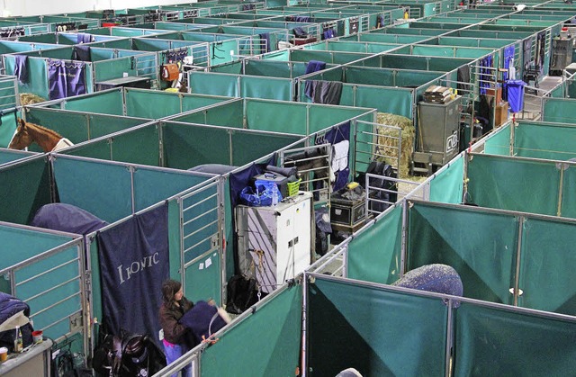 350 Pferde sind in den Messe-Hallen un... ist ein Vorteil von   Offenburg (r.).  | Foto: Judith Reinbold