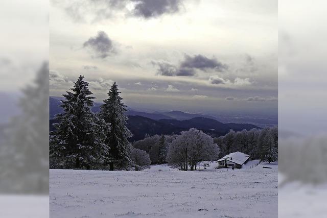 Oben noch Winter pur, unten ein Hauch von Frhling