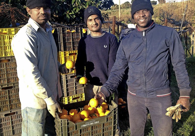 Mamadou Diakhate (rechts) hofft, dass ... letzten Orangen sind, die er erntet.   | Foto: Mller-Meiningen