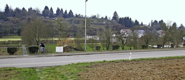 Fr Autofahrer eine Barriere, fr Radl...sem Jahr mehr Sicherheit garantieren.   | Foto: HEIDI FSSEL